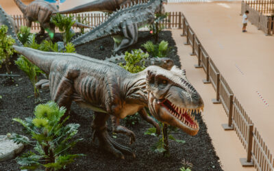 12 Dinosaures animés envahissent Wijnegem Shop Eat Enjoy