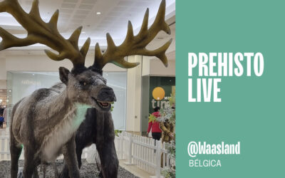 Noviembre 2023  • Prehisto Live en Waasland, Bélgica
